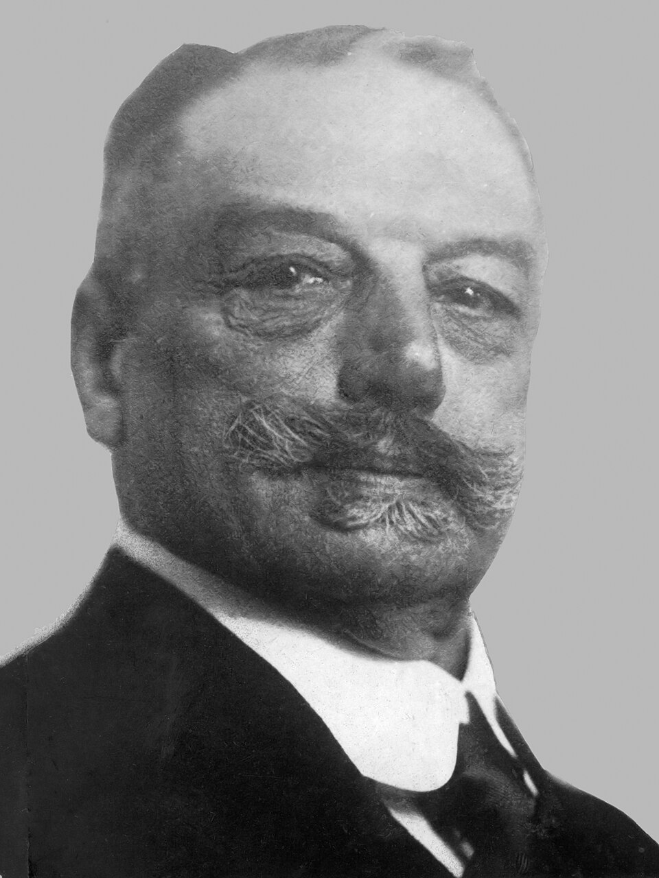 Apol Lodewijk Franciscus Hendrik (Louis)