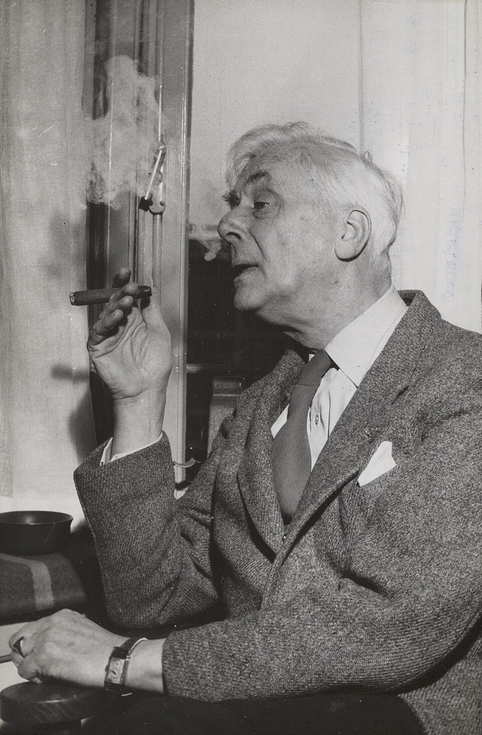 Berg Willem Hendrik van den